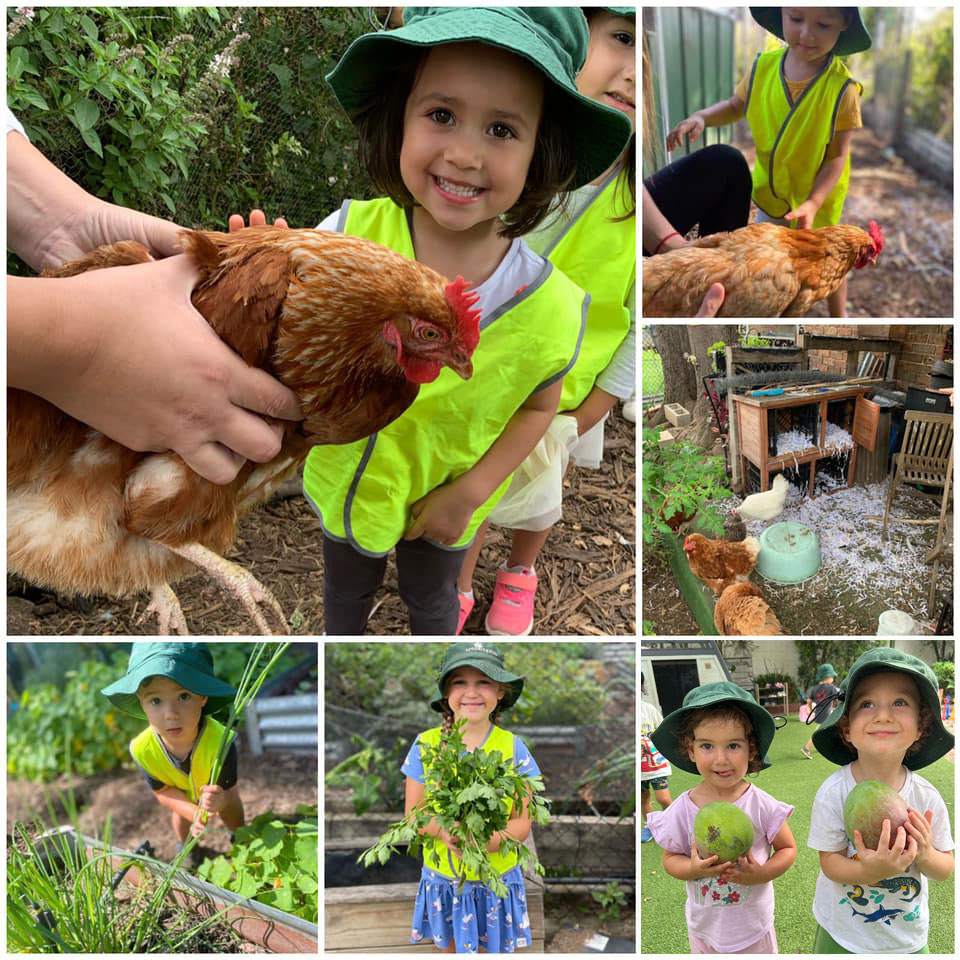 Seedling-Kids-Croydon-Park-food